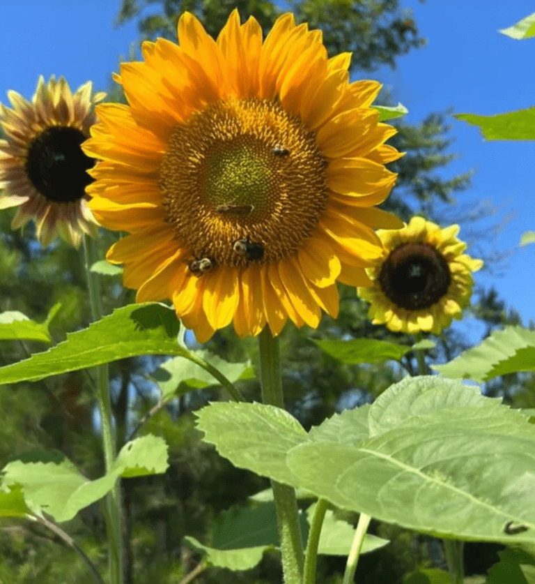 Image Source: Instagram | @carrieunderwood