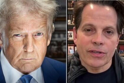 Anthony Scaramucci is going all out against Donald Trump