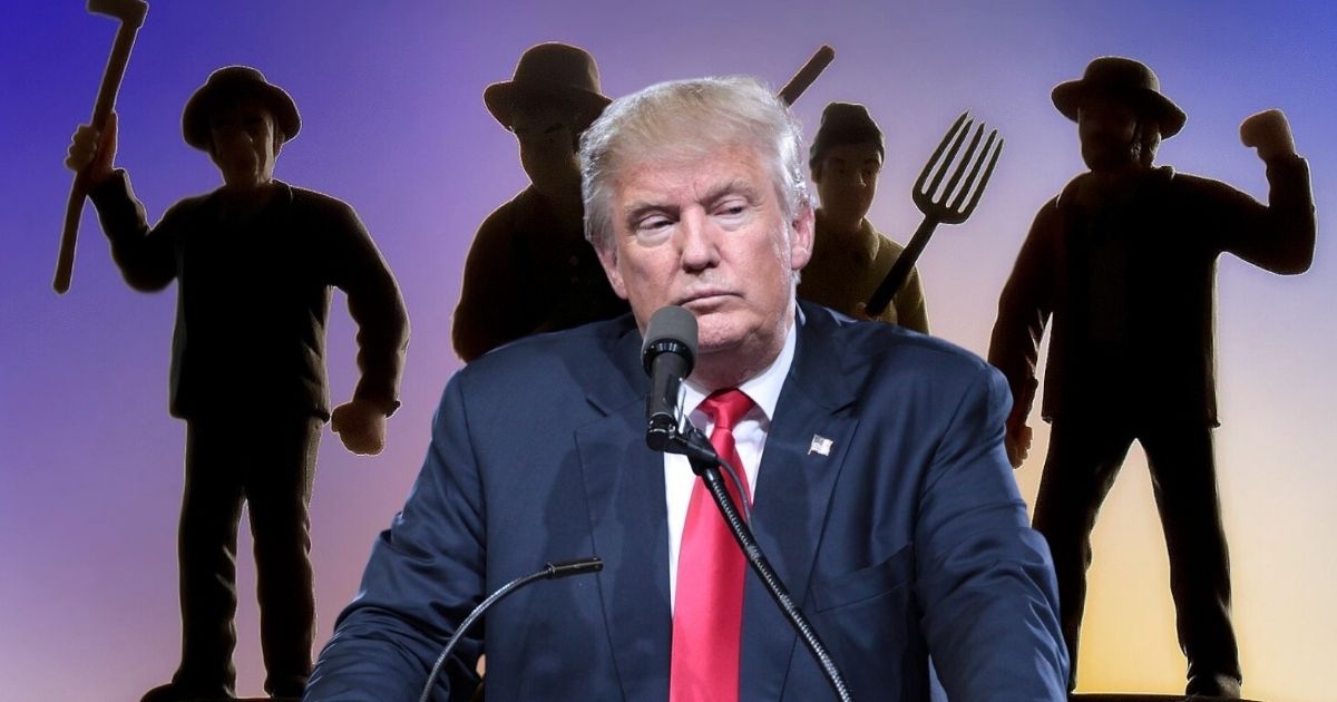 Donald trump sued again