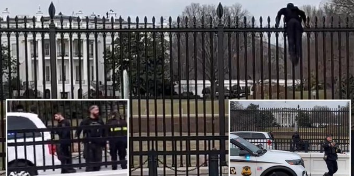 Man climbs over White House fence.