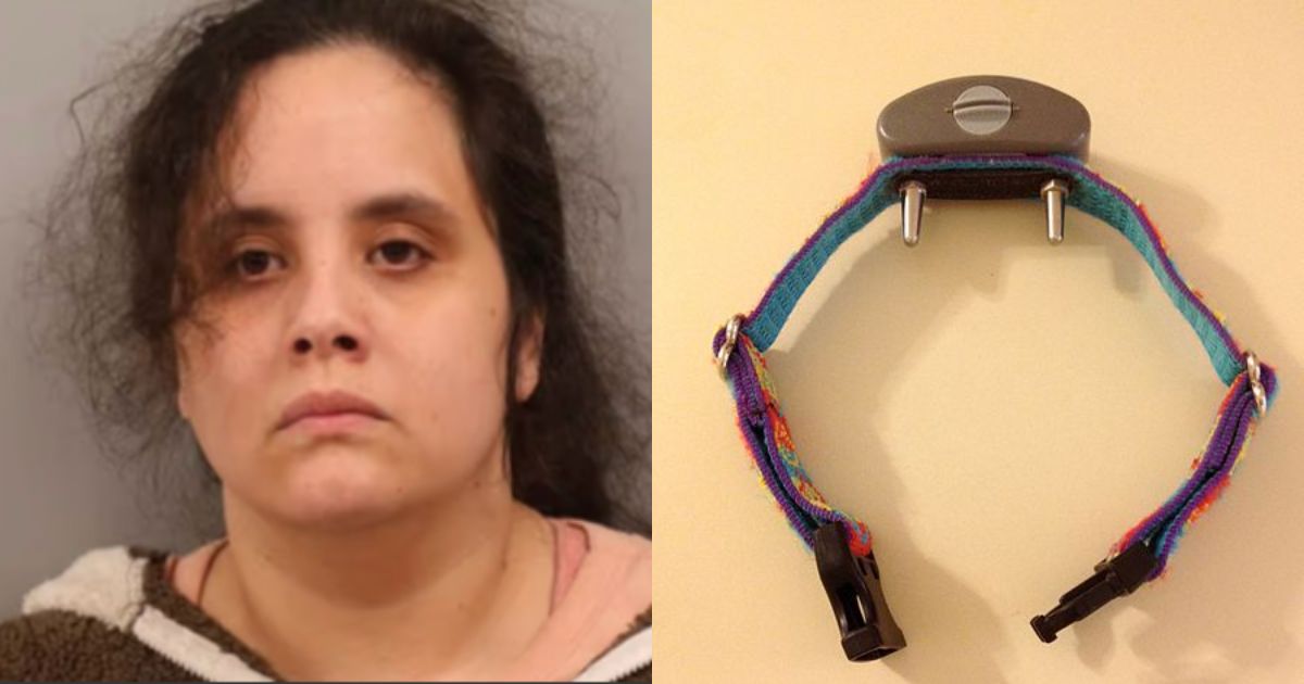 30 year old mother who has been accused of child abuse (@its_onsite) and Shock collar via Wikimedia Commons)