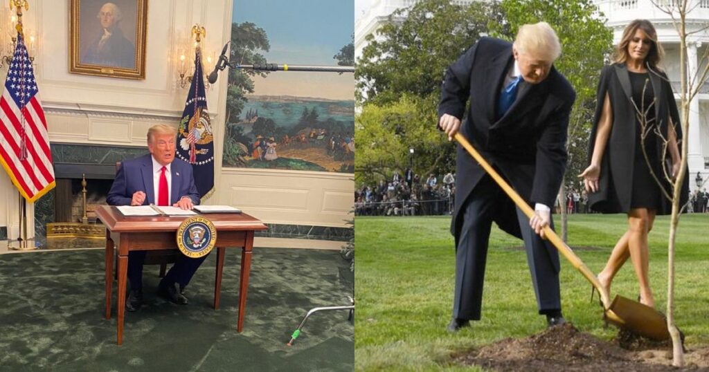 America’s Most Famous Houseplant Vanishes — What Did Trump do With Her