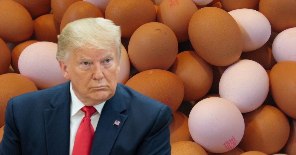 Egg Prices in America