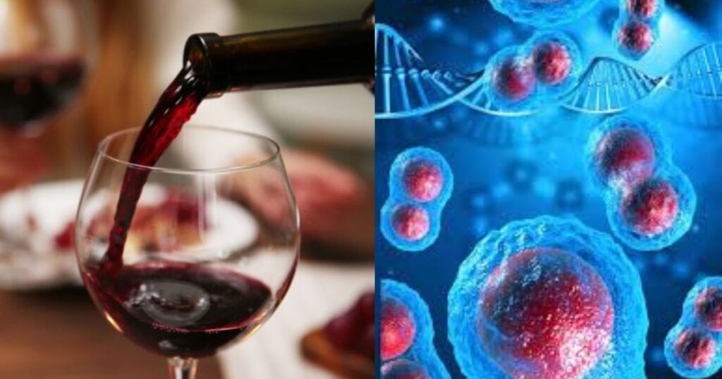 Red or White Wine The Hidden Cancer Threat in Your Glass!