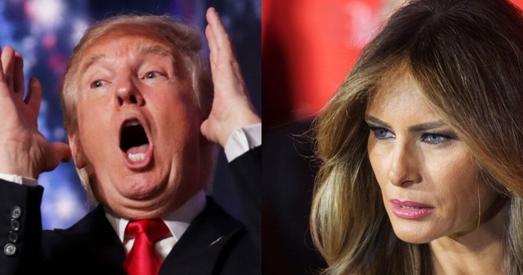 Donald Trump Allegedly Offered His Bed to Pregnant Congresswoman and Asked Her to Not Tell Melania, New Book Claims. Image via FMT, Flickr