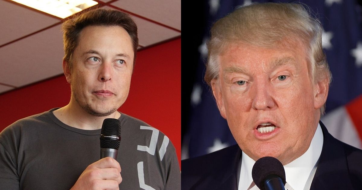 Donald Trump supports Elon Musk's Tesla