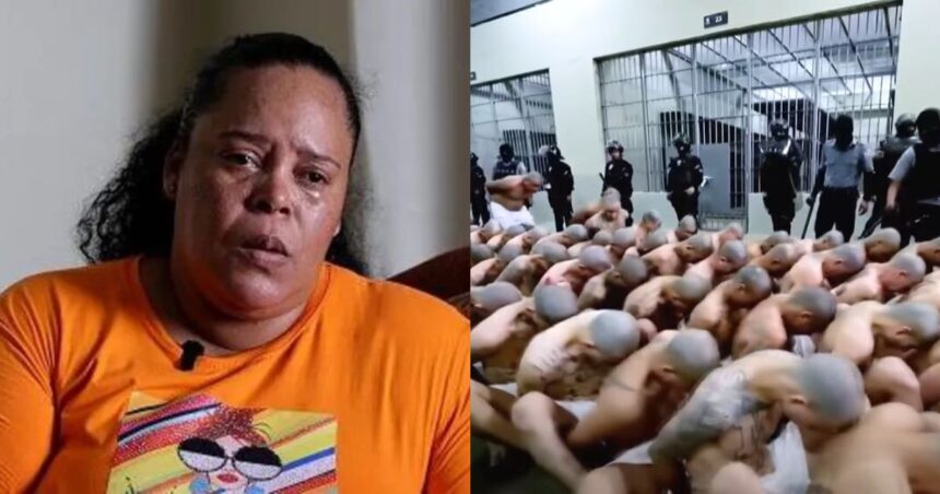 Mother’s Shocking Moment Spotting Deported Son in Mega-Prison Footage.