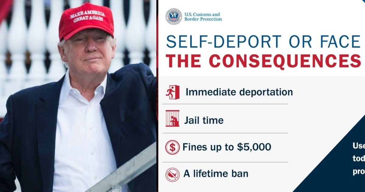 Donald Trump and CBP Home