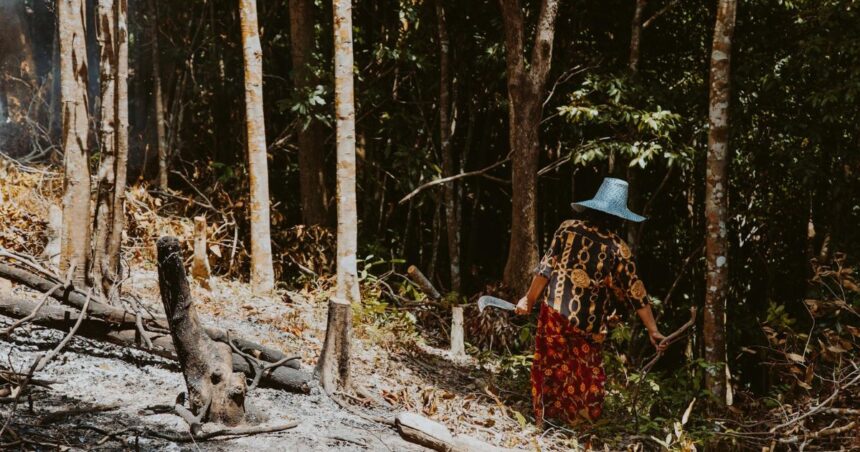 Couple Face Fine for Cutting Trees on Their Own Property