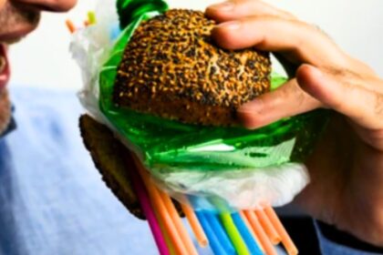 Effect of Microplastics