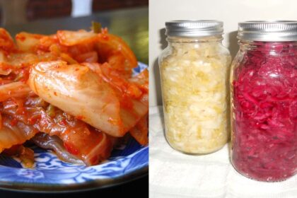 Cabbage for making fermented food