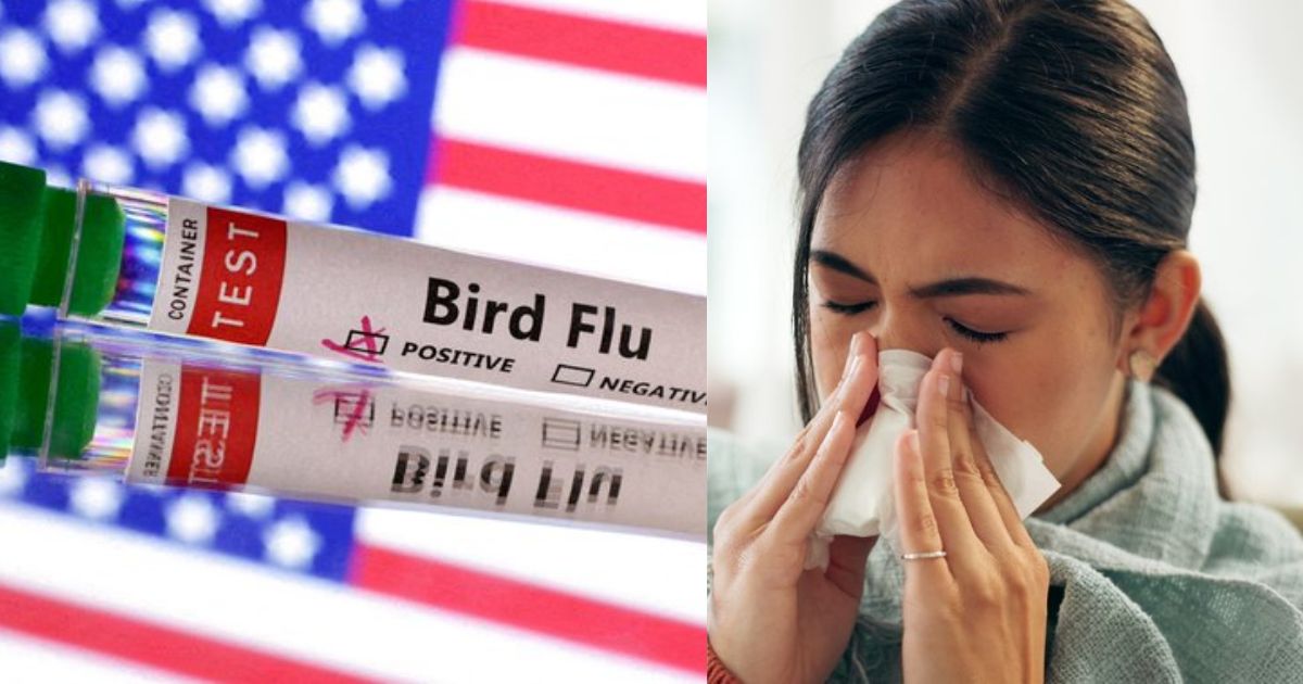 H5N1 Bird Flu Detected in all 50 States