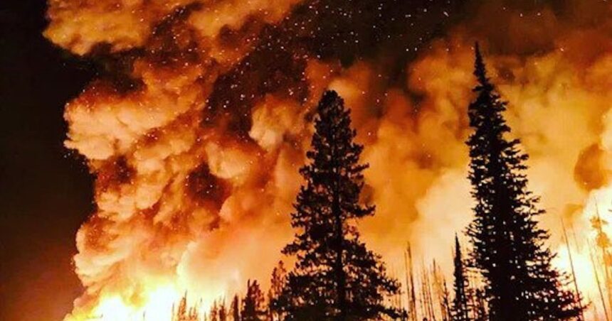 NASA Issues Stark Timeline on Earths Extinction