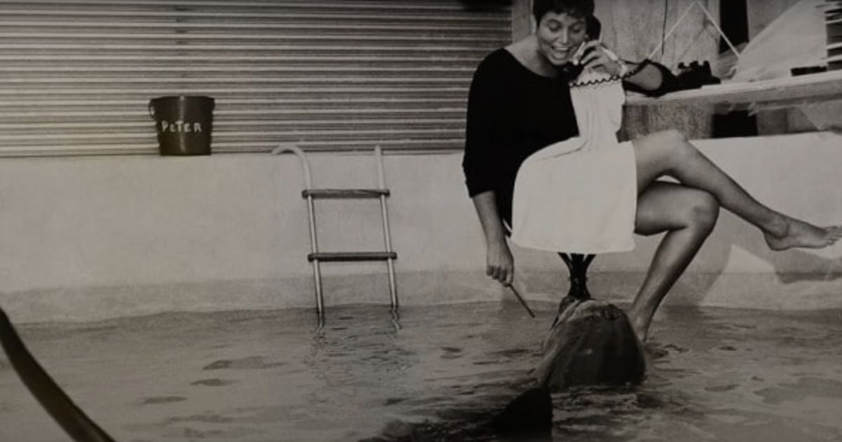 Howe and Peter the dolphin for NASA experiment