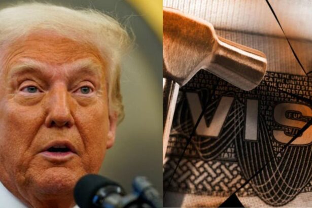 Trump deports international students