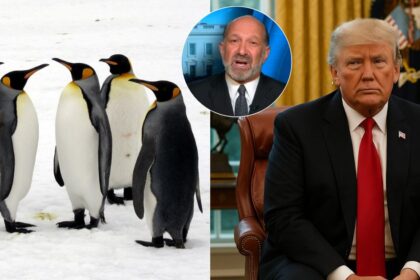 Howard Lutnick explains why Donald Trump imposed 10% tariff on Heard Island and McDonald Islands inhabited by penguins