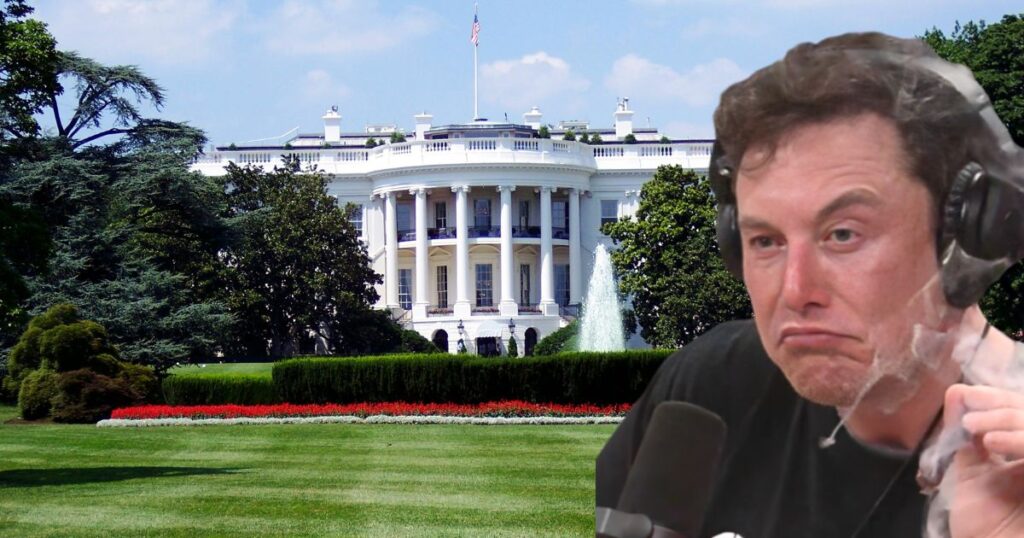 White House Insiders Jokes Elon Musk Should Take a Drug Test