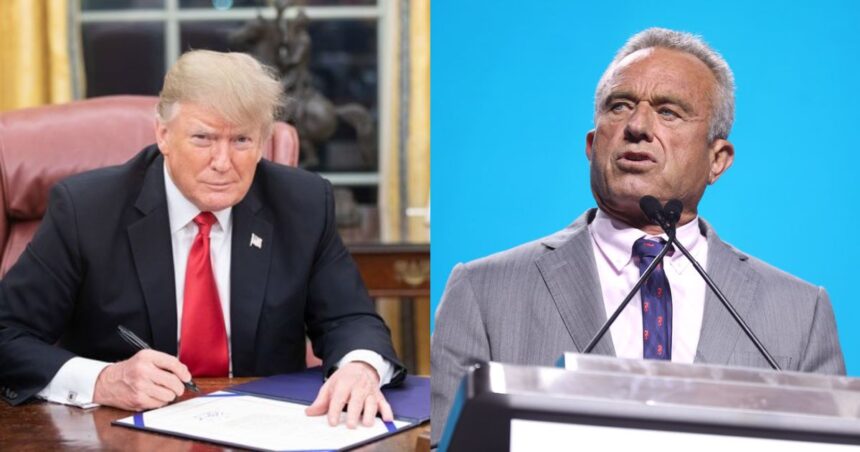 Massive Federal Layoffs