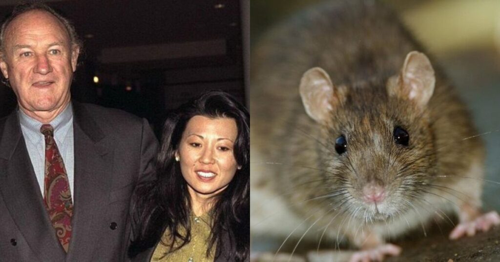 Gene Hackman hantavirus wife death
