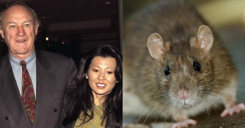 Gene Hackman hantavirus wife death