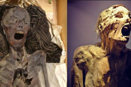 The 3,500-year-old Egyptian screaming mummy Picture on the left (@brut.india) and picture on the right (Instagram|@ramyromany)