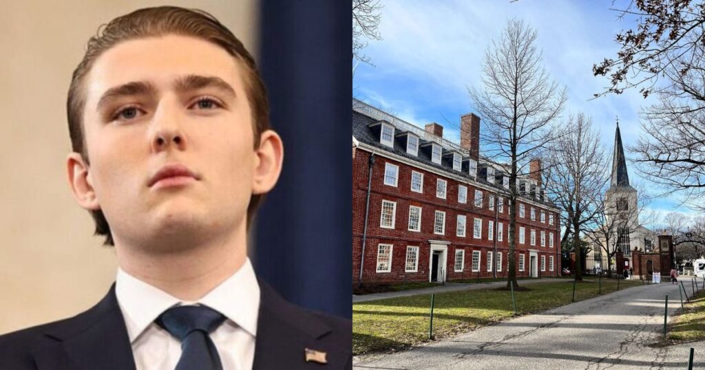 It is rumored that Barron Trump was rejected by Harvard University