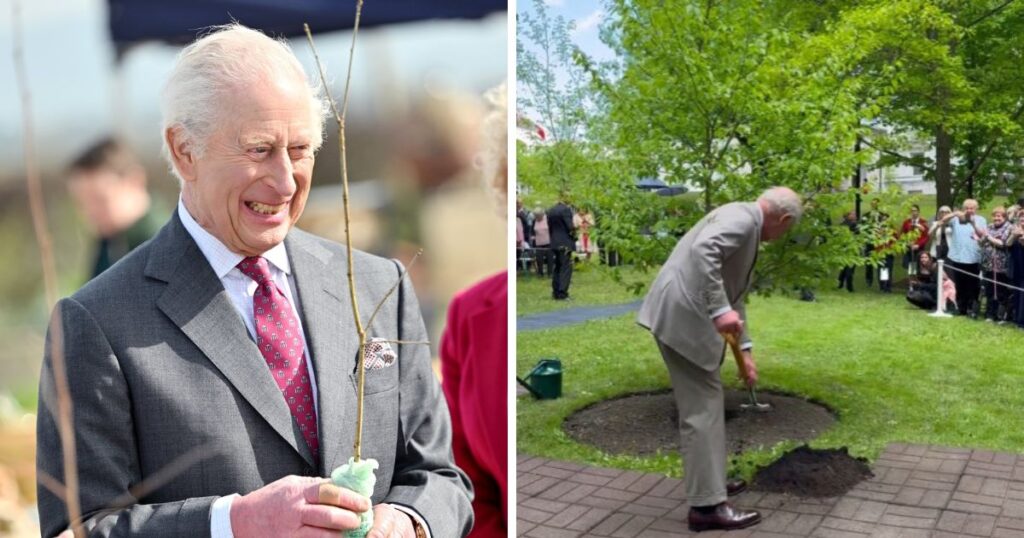 King Charles is on a green diet