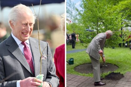 King Charles is on a green diet