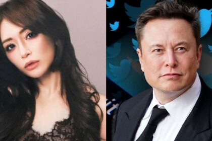 Ayumi Hamasaki ( a.you|Instagram) and Elon Musk (via universe.roboflow)