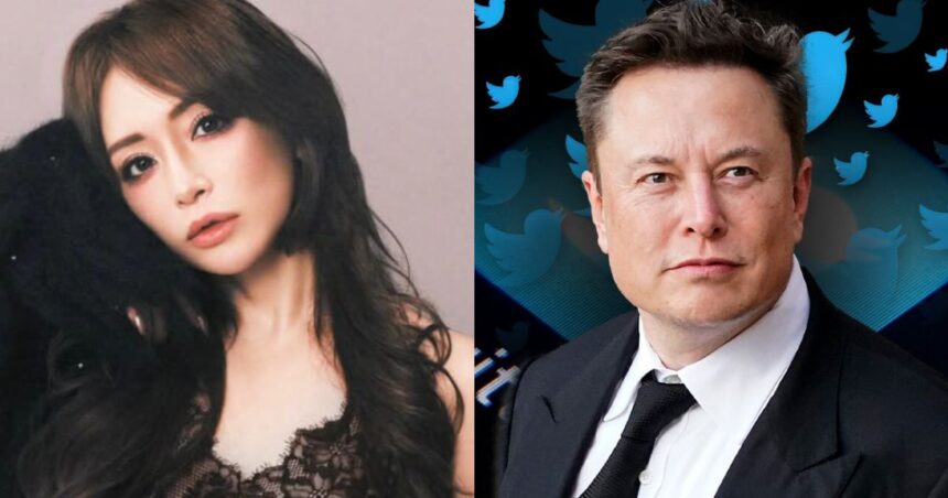 Ayumi Hamasaki ( a.you|Instagram) and Elon Musk (via universe.roboflow)