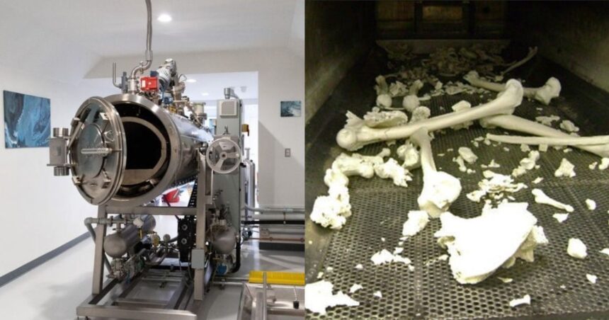 'Boil in a Bag' Cremation Process Could Get Green Signal in UK