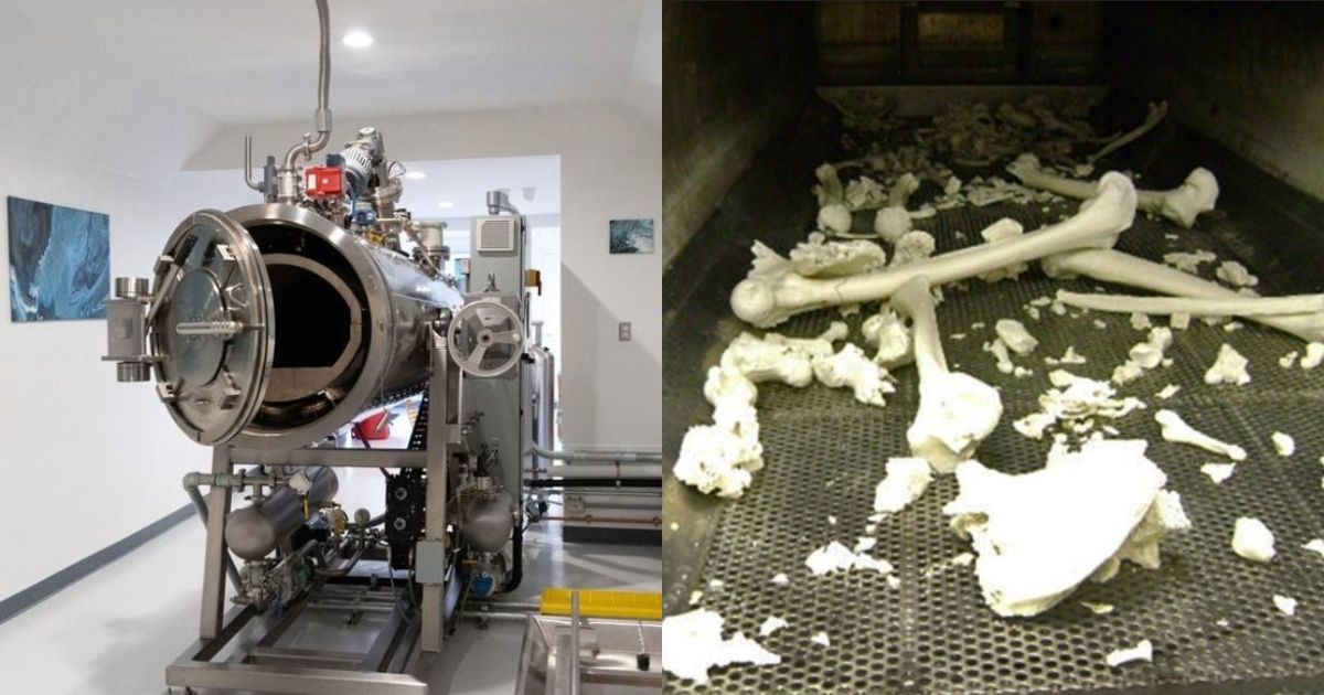 'Boil in a Bag' Cremation Process Could Get Green Signal in UK