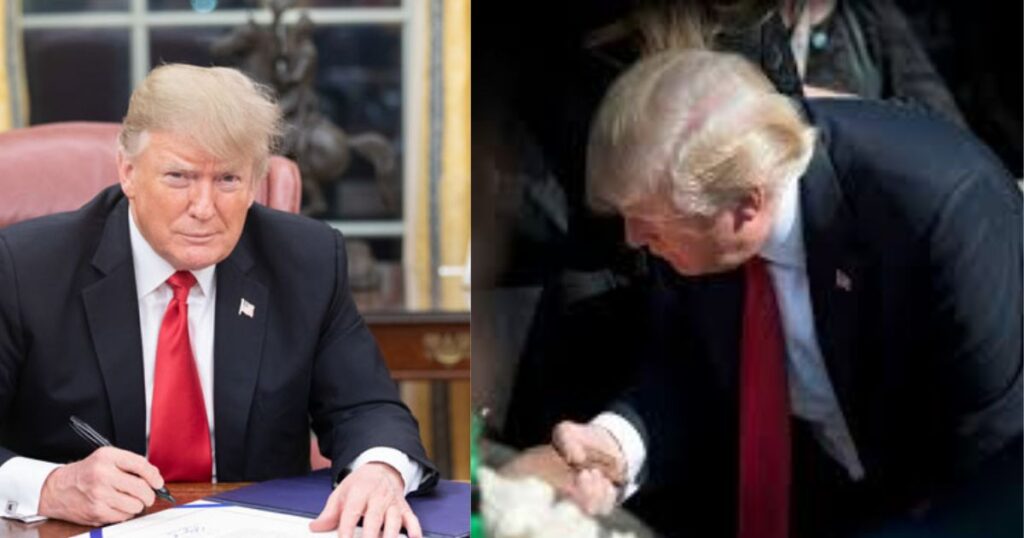Donald Trump and his iconic hairstyle ( left- picture via getarchive) and ( right- picture from the website of The Megaphone) Southwestern University)