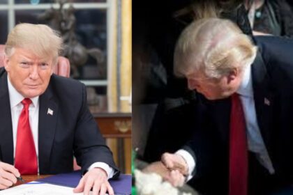 Donald Trump and his iconic hairstyle ( left- picture via getarchive) and ( right- picture from the website of The Megaphone) Southwestern University)