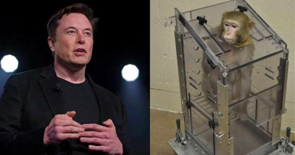 Elon Musk's Neuralink testing on monkeys