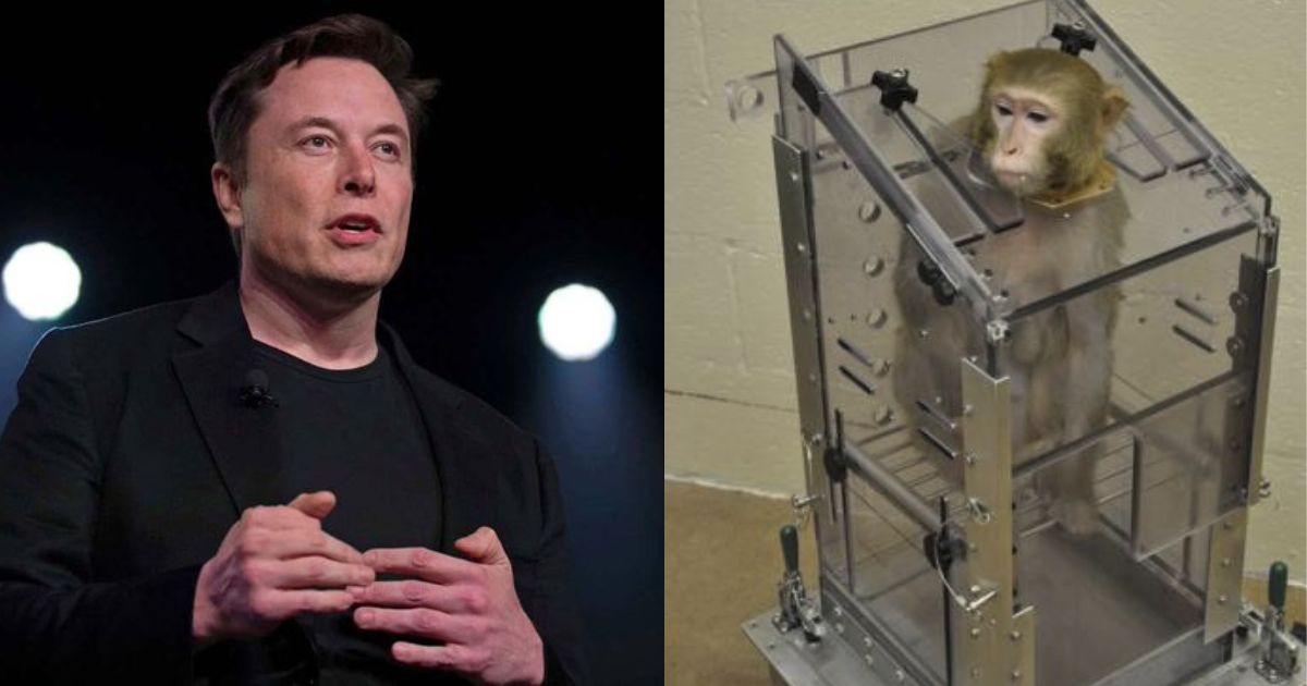 Elon Musk's Neuralink testing on monkeys