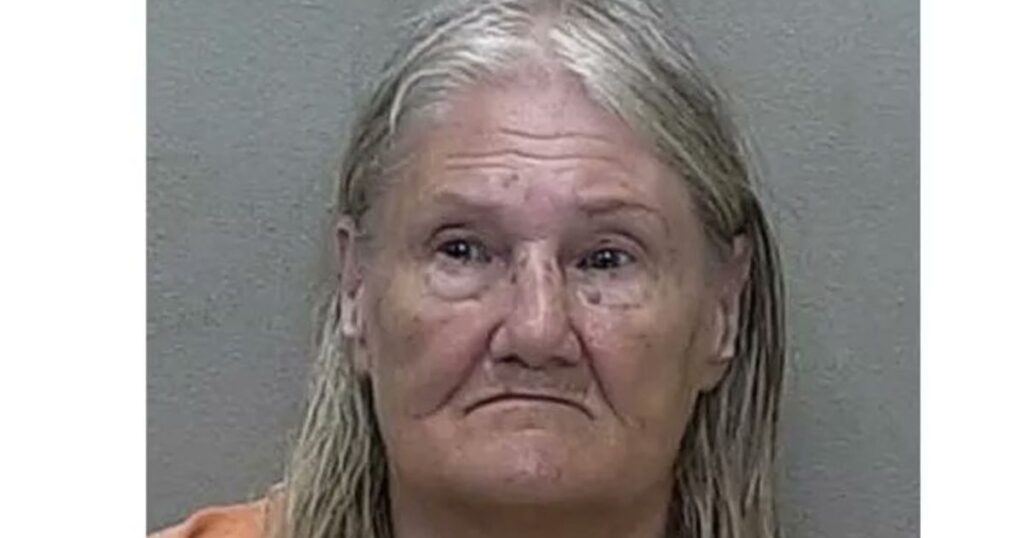 Florida woman charged with felony battery