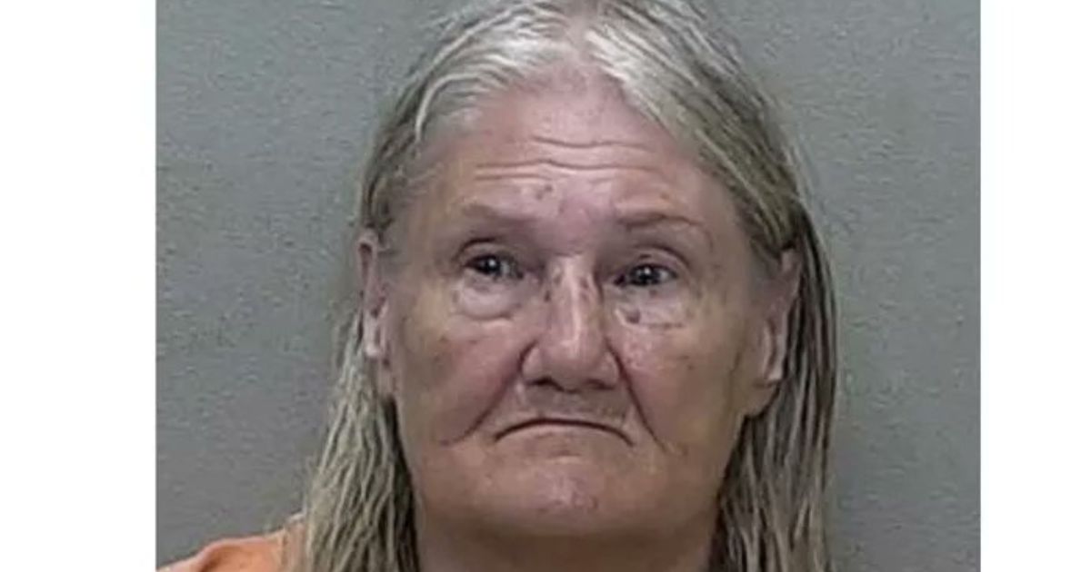 Florida woman charged with felony battery