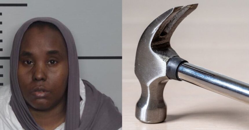 Mom Accused on hammer attack on daughter