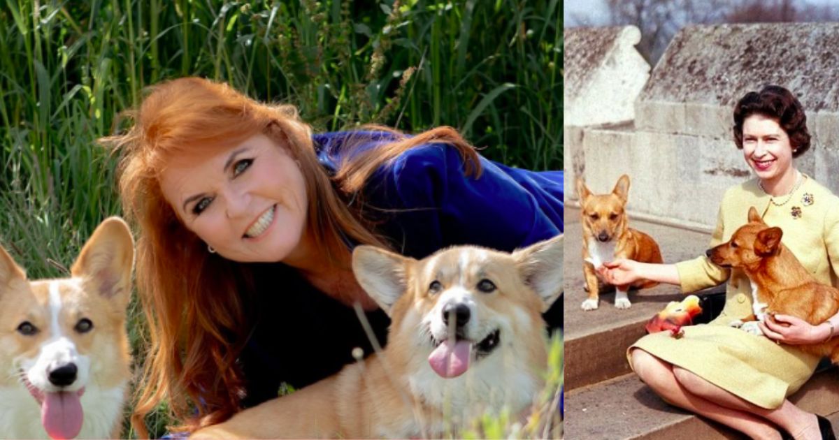 Sarah Ferguson with Muick and Sandy (thisisheart |Instagram)and Queen Elizabeth (thequeenscorgis|Instagram)