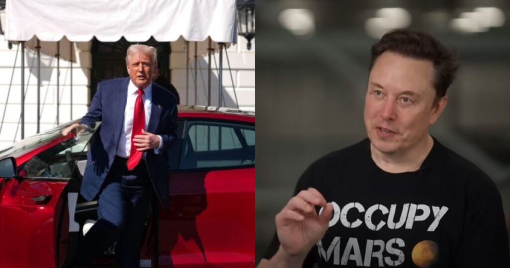 Donald Trump and Elon Musk