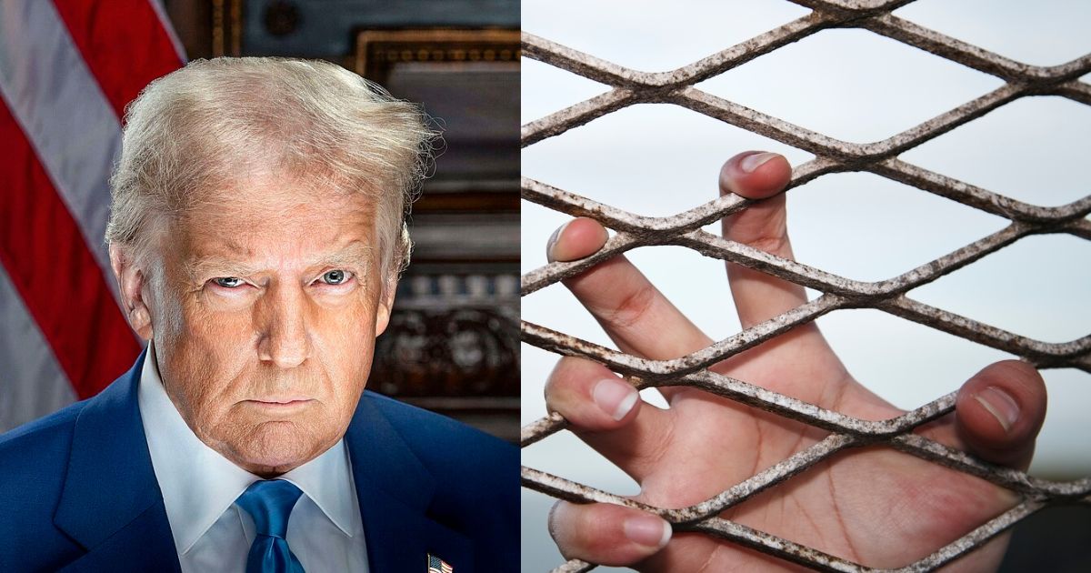 Donald Trump's immigration crackdown has caused chaos in the country