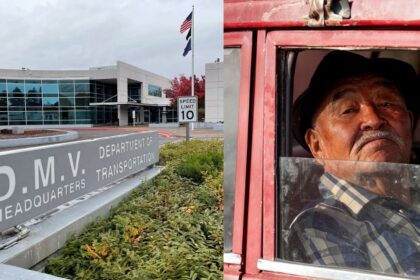 driving tests for seniors