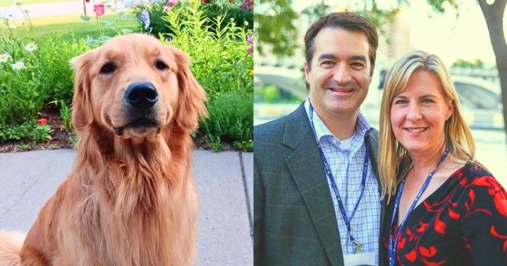Golden retriever Gilbert's urn rests between the caskets of Rep. Melissa Hortman and her husband Mark in the Minnesota Capitol rotunda