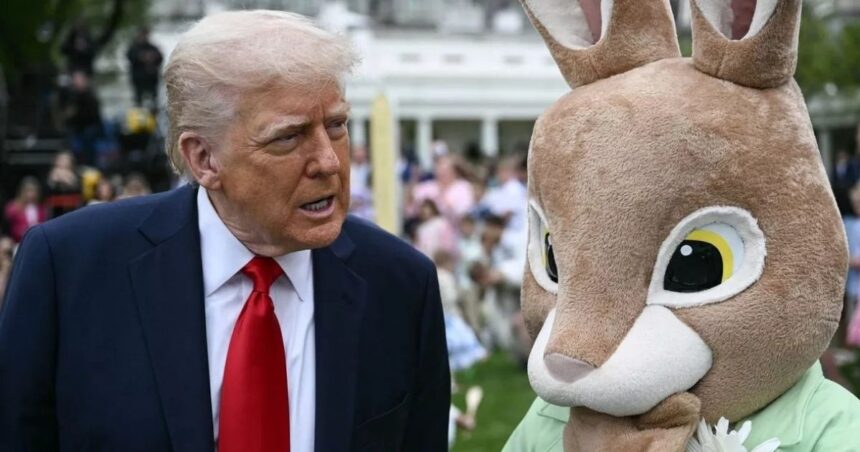 donald trump gone mad