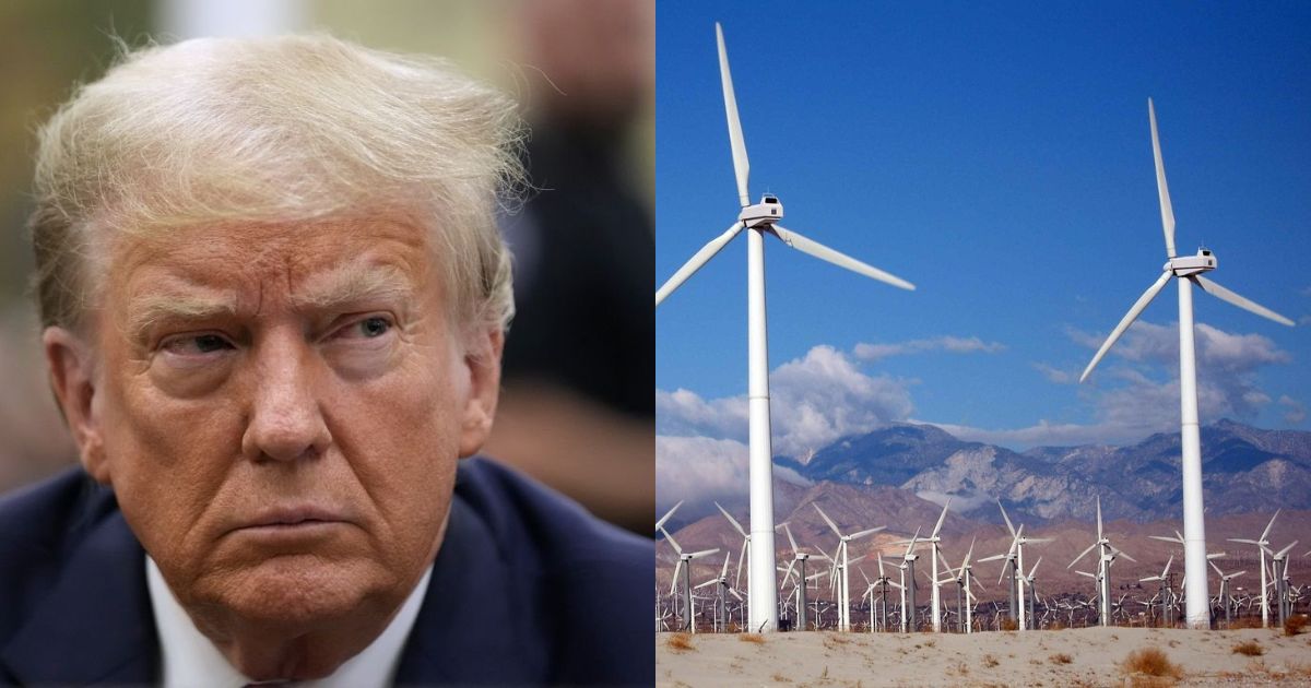 donald trump on wild and solar power