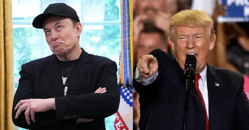Elon Musk and Donald Trump