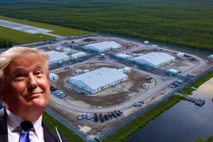 Donald Trump's $450 million prison facility, nicknamed Alligator Alcatraz ( picture of the facility from @catturd2- via X.com) and Donald Trump's picture from Flickr.