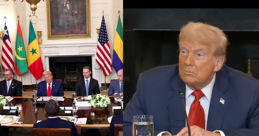 Donald trump-african leaders