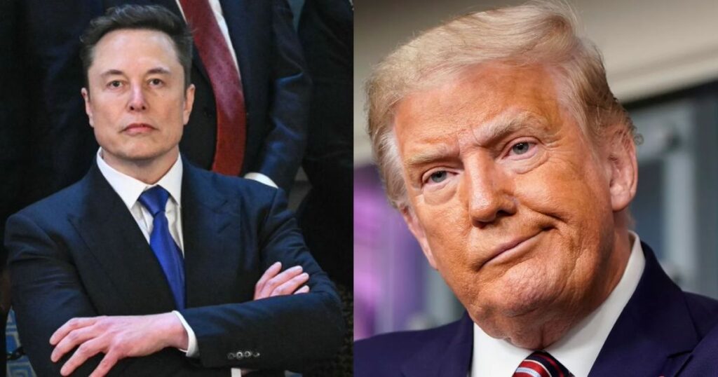 Elon Musk responds to Donald Trump